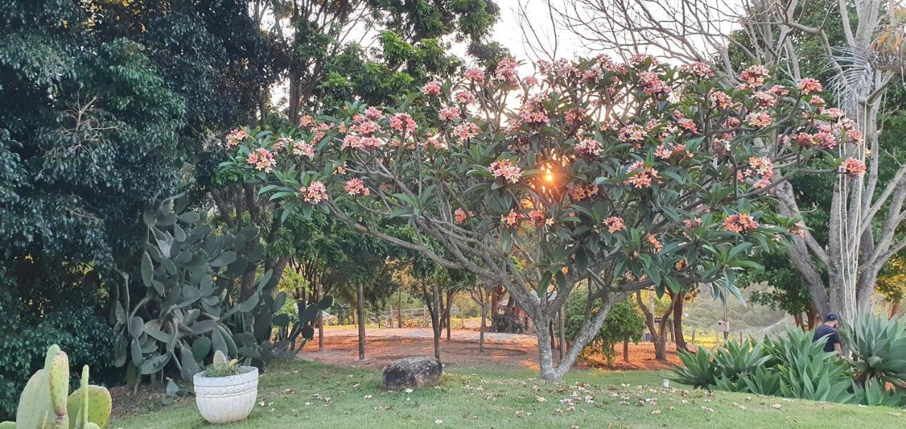 Ellementares Guest House Socorro  Kültér fotó